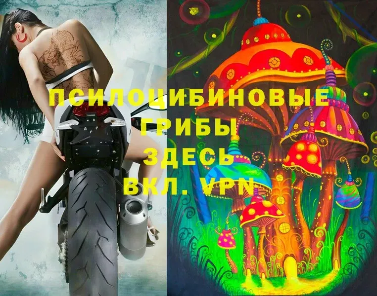 даркнет сайт  нарко площадка какой сайт  Псилоцибиновые грибы Magic Shrooms  Шадринск 